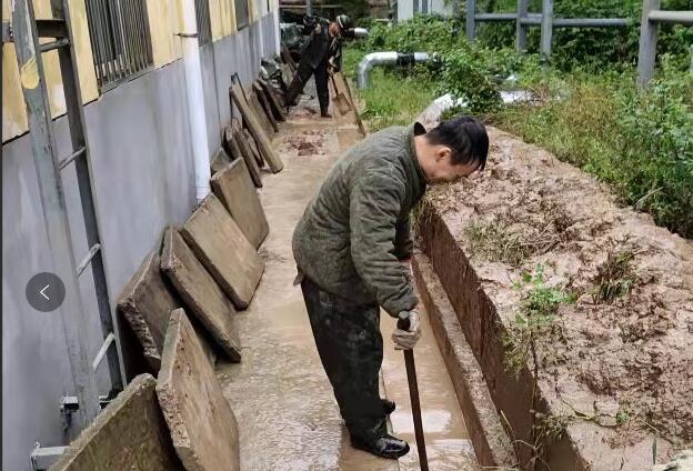 配图二.jpg