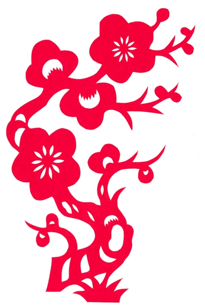 菊.jpg